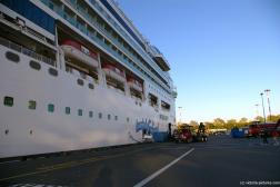 Norwegian Pearl docked at Victoria.jpg
