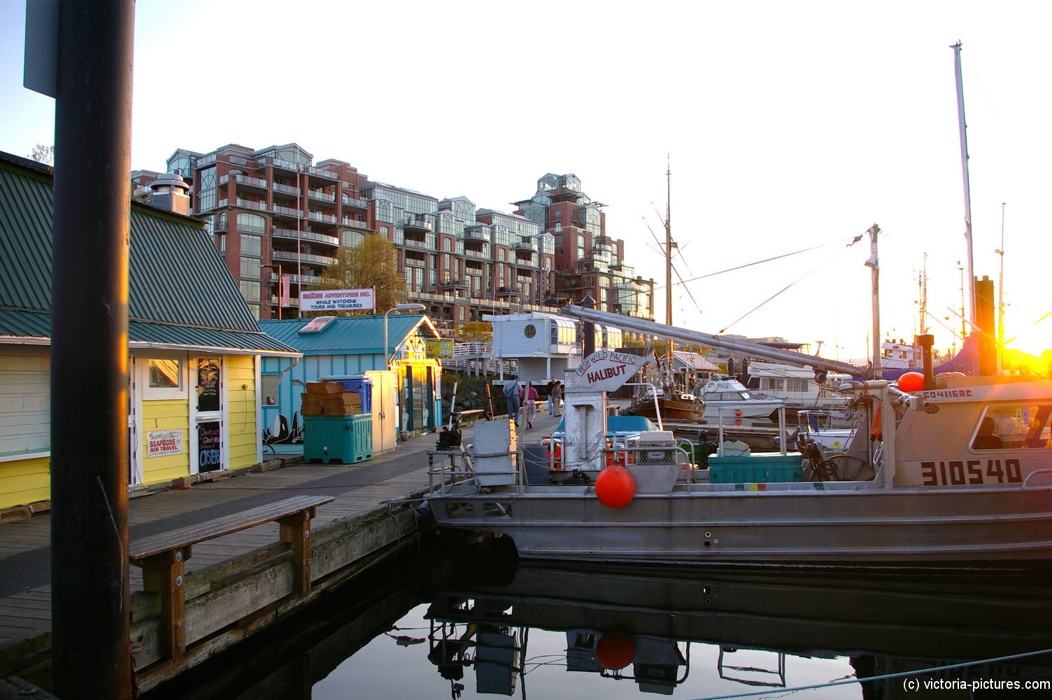 Fisherman's wharf in Victoria Canada during sunset.jpg