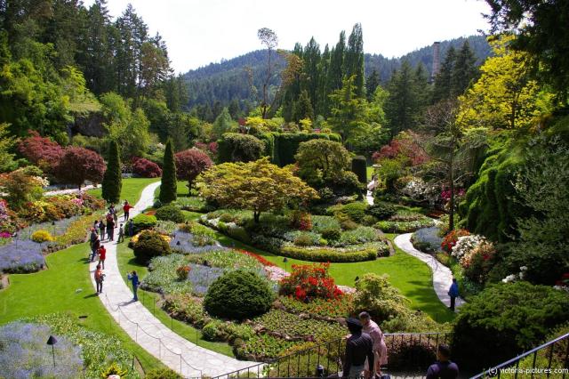 The Sunken Gardens at the Butchart Garden in Victoria Canada.jpg