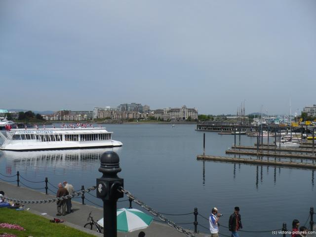Undersea Gardens in Victoria Harbour.jpg