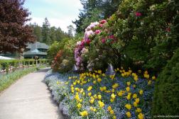 Various flowers and flowering trees alongst a path at the Buchart Gardens.jpg