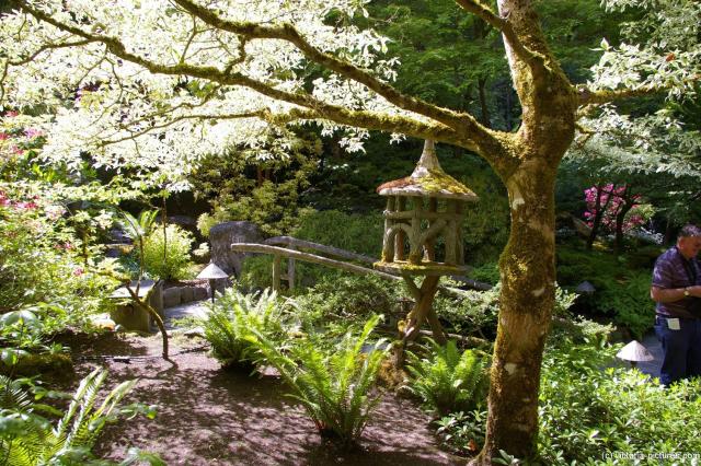 Wooden bridge and Pagoda at the Butchart Gardens Japanese Garden area.jpg
