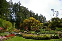 An island of trees and plants in the Butchart Garden Sunken Garden.jpg