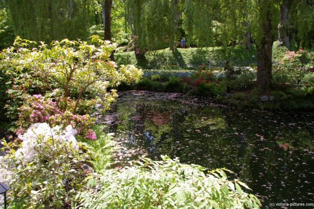 Another view of the pond at the Butchart Gardens Sunken Garden.jpg