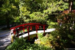 Arched bridge with red wooden railings at the Butchart Gardens Japanese Garden.jpg