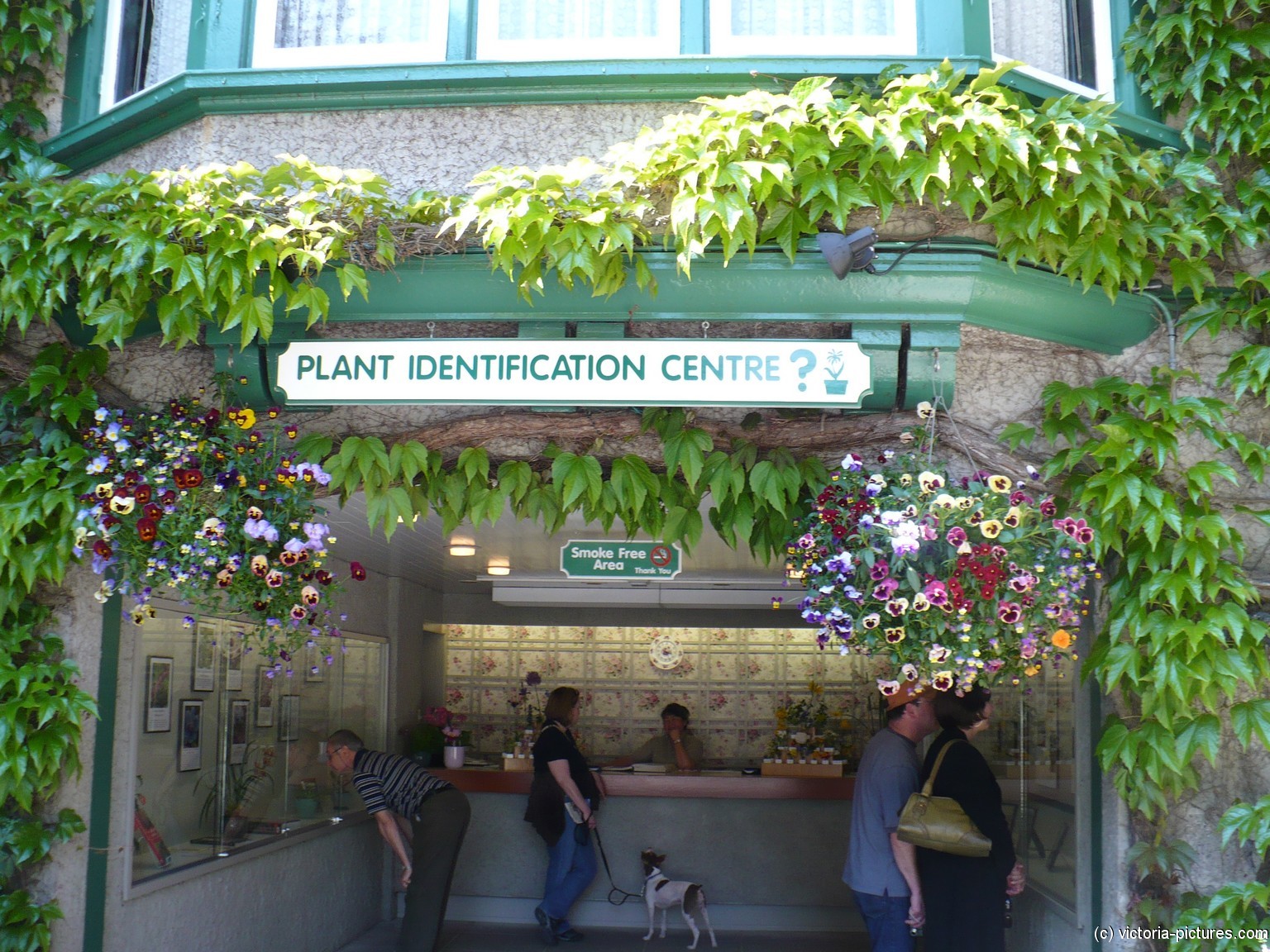 Butchart Gardens Plant Identification Centre.jpg