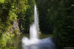Close up of the dancing fountain water jets at the Sunken Garden Lake of the Butchart Gardens (2).jpg