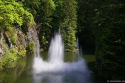Close up of the dancing fountain water jets at the Sunken Garden Lake of the Butchart Gardens.jpg