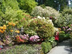 Colorful flowrs and green foliage alongst a path within the Butchart Garden Sunken Garden.jpg