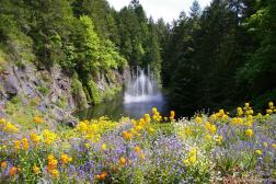 Dancing fountain water jets at the Butchart Gardens Sunken Garden Lake.jpg