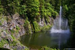 Dancing Ross Fountain water jets at the Sunken Garden Lake  of the Butchart Gardens.jpg