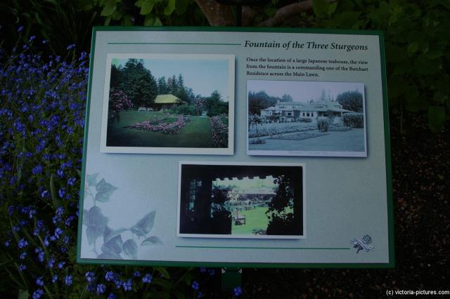Fountain of the Three Sturgeons sign at the Butchart Gardens.jpg