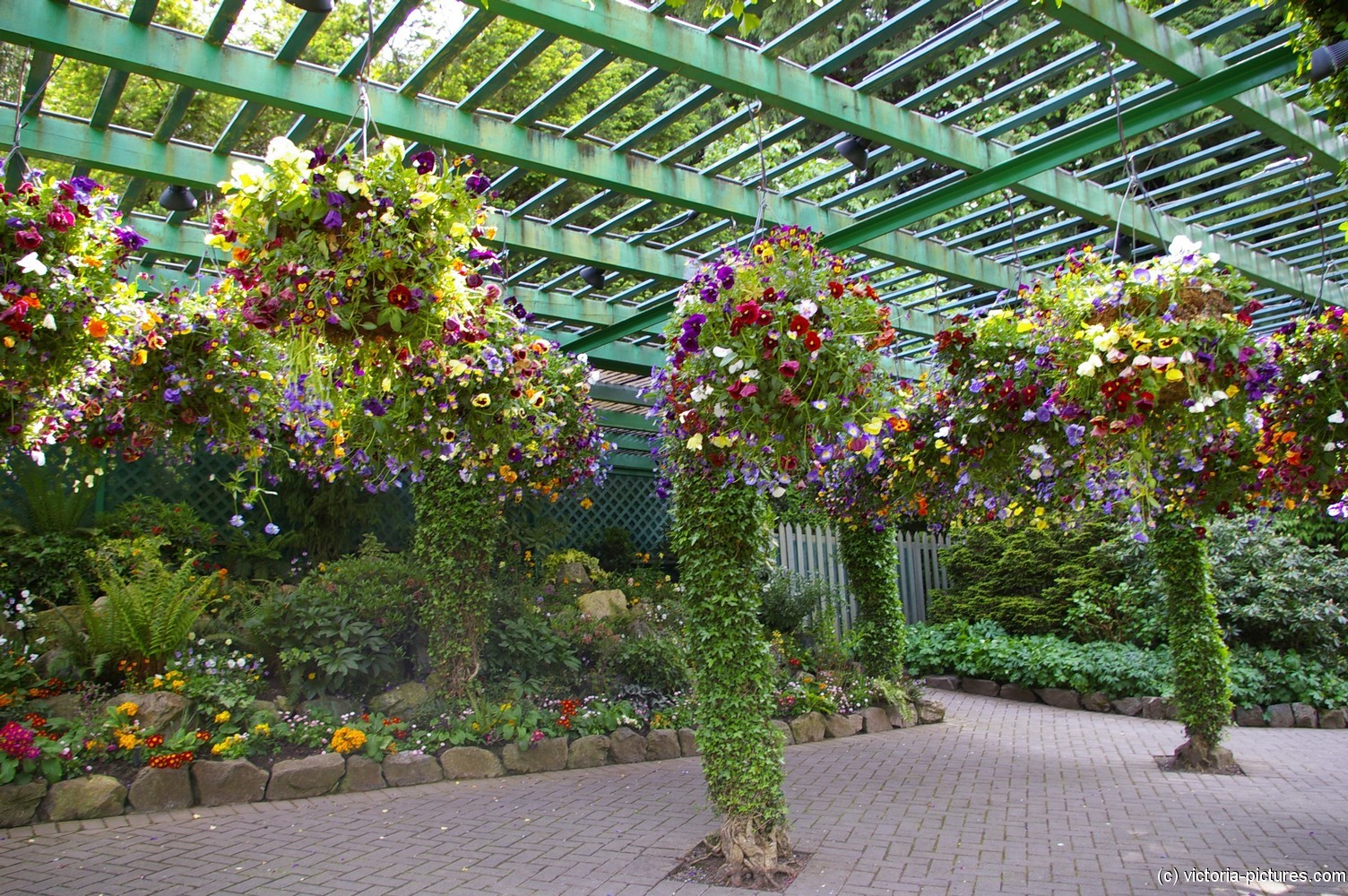 Garden with hanging baskets at Butchart Gardens.jpg