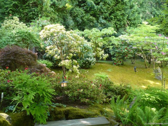 Inside the Japanese Garden of the Butchart Gardens.jpg