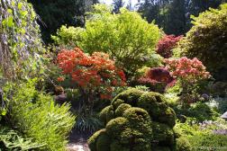 Japanese Garden area of the Butchart Gardens.jpg