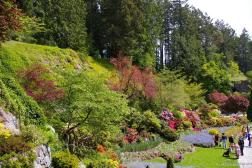One area of the Butchart Gardens Sunken Garden.jpg