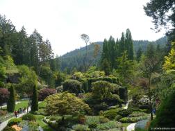 Plateau in the sunken gardens area of the Butchart Gardens in Victoria.jpg