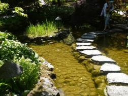 Pond and stepping stones in the Japanese Garden section of the Butchart Gardens.jpg