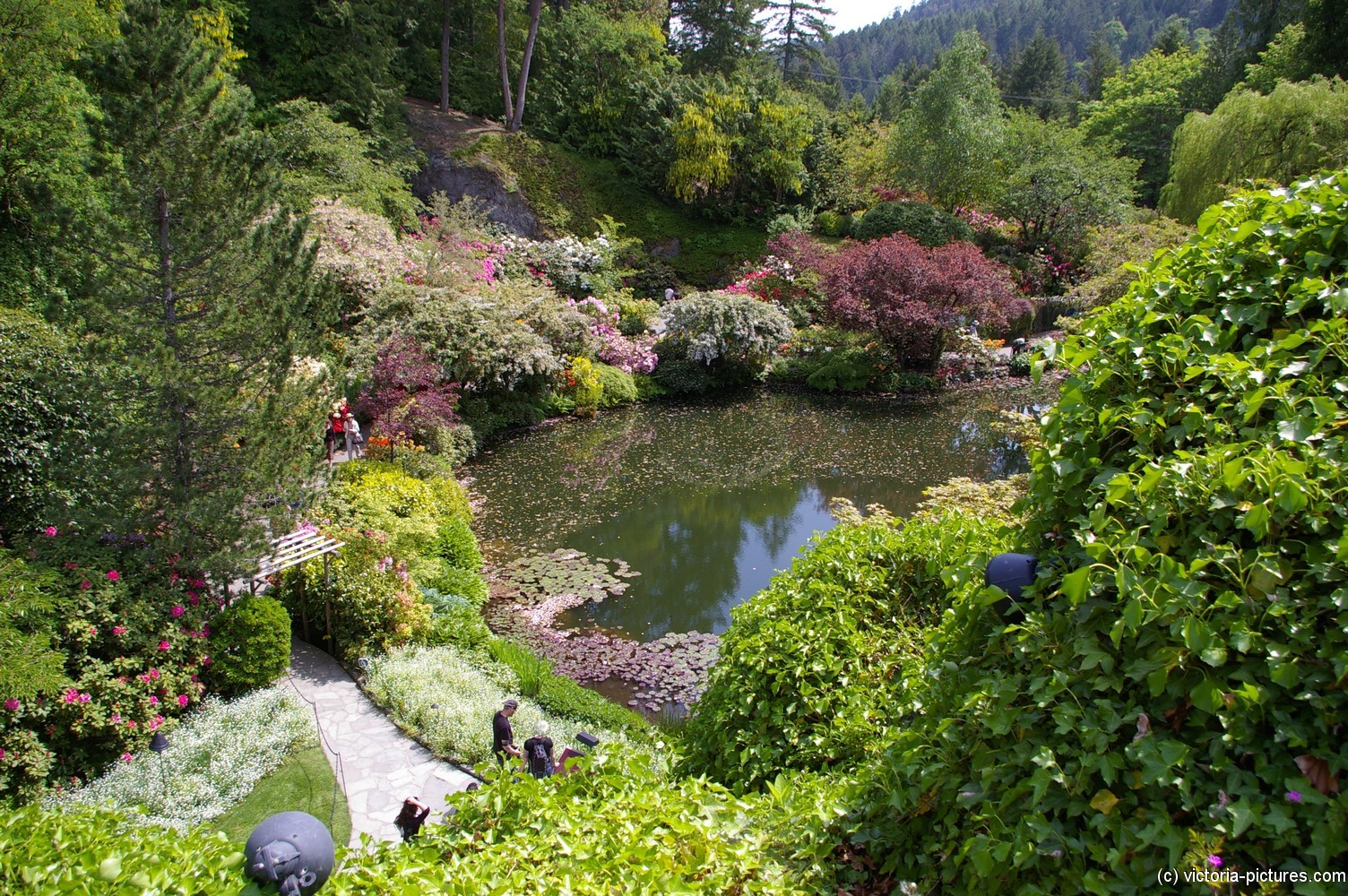 Pond at the Sunken Gardens in Butchart Gardens.jpg