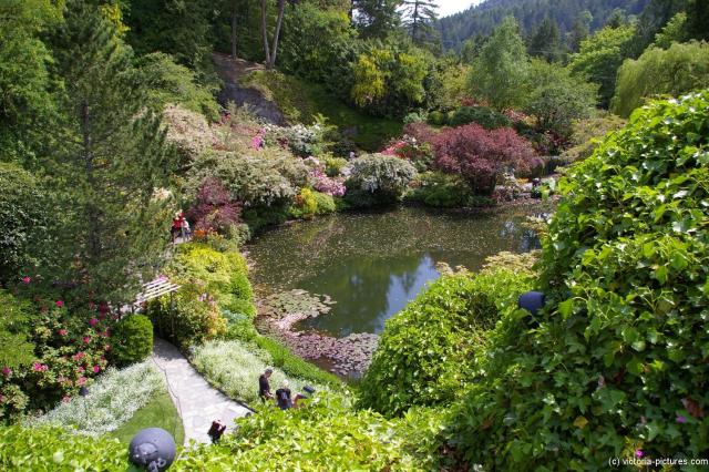 Pond at the Sunken Gardens in Butchart Gardens.jpg