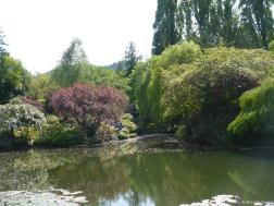 Pond in the Sunken Gardens area of the Butchart Gardens.jpg