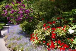 Purple flower tree and red flowers at the Butchart Gardens Sunken Garden.jpg