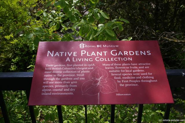 Royal BC Museum native Plant Gardens sign.jpg