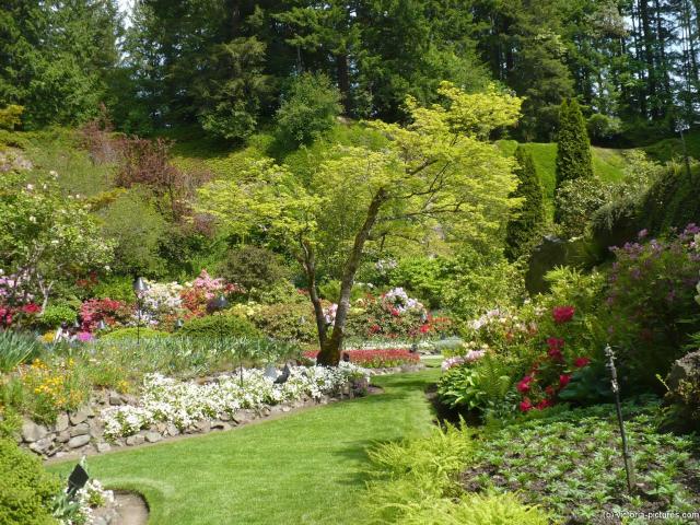 Sunken Gardens area of the Butchart Gardens (2).jpg