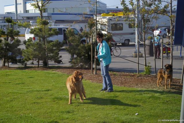 Woman and her dogs at the BC Ferries Tsawwassen Terminal.jpg