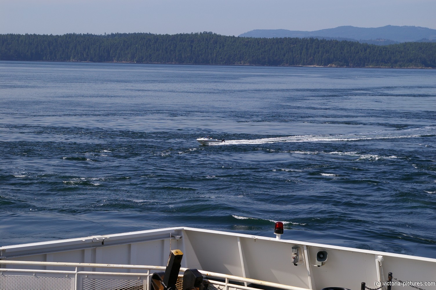Speedboat passing across our ferry to Victoria.jpg
