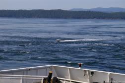 Speedboat passing across our ferry to Victoria.jpg