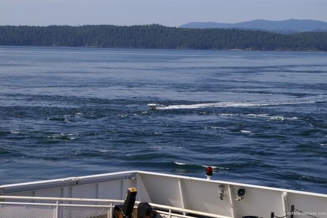 Speedboat passing across our ferry to Victoria.jpg