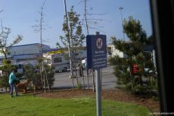 No Dogs sign and woman with two dogs at the BC Ferries Tsawwassen Terminal.jpg