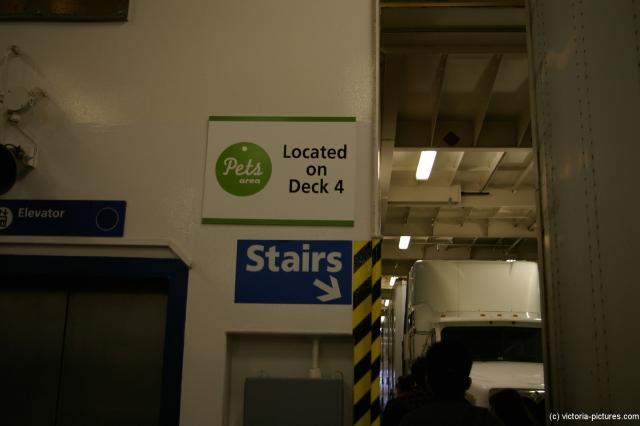 Inside the BC Ferries Ferry parking level.jpg