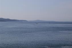 Flying eagle of the Swartz Baby as viewed from ferry to Victoria.jpg