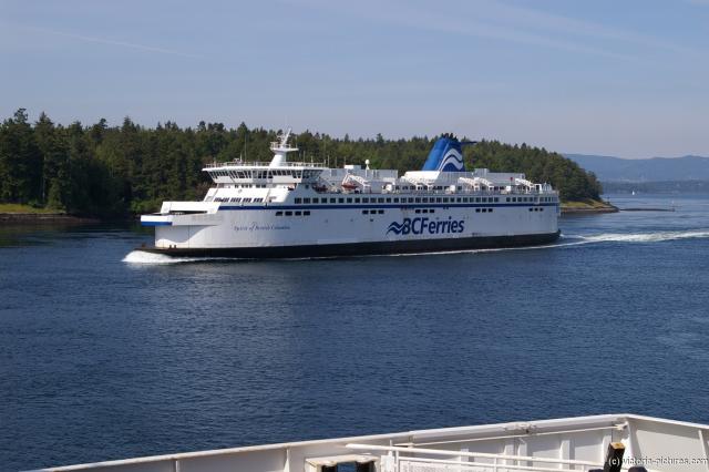 Fellow BCFerries ferry passing by.jpg
